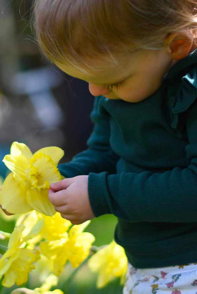 A young girl gazes thoughtfully at a vibrant flower, her expression reflecting curiosity and wonder